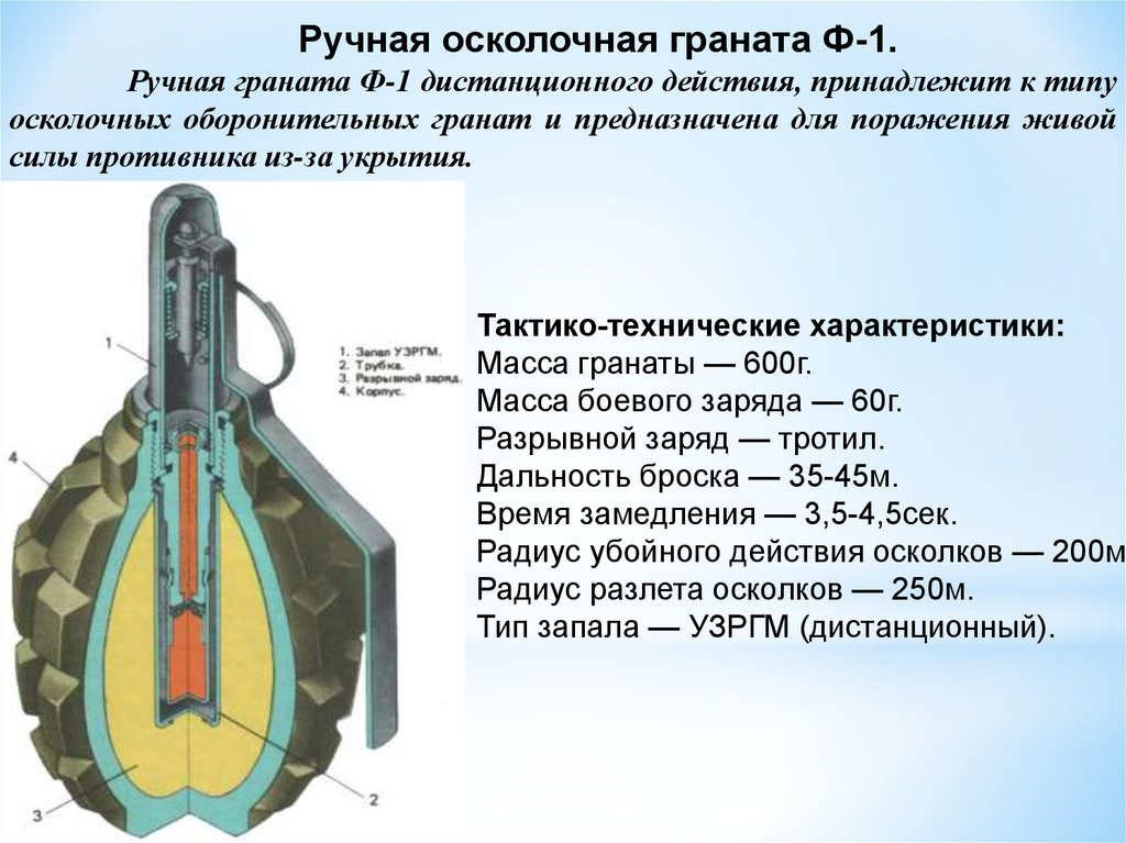 Чертеж гранаты ф 1