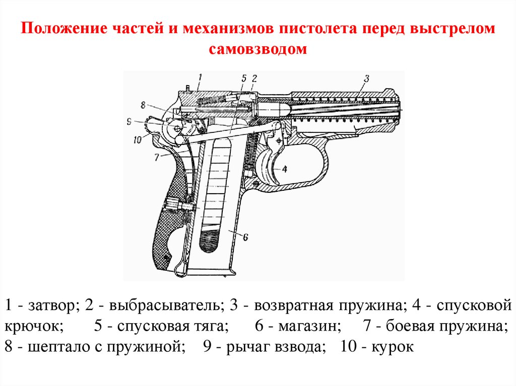 Направление пистолета. Части пистолета системы Макарова криминалистика. Пистолет Макарова чертежи вид сзади. Положение частей и механизмов пистолета перед выстрелом. Работа частей и механизмов пистолета Макарова.