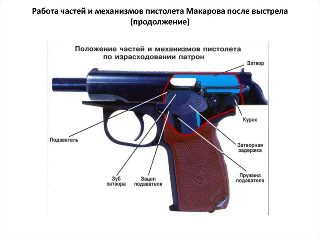 Огневая пм. Предохранитель пистолета Макарова части. ПМ Макаров части. Составные части пистолета Макарова.