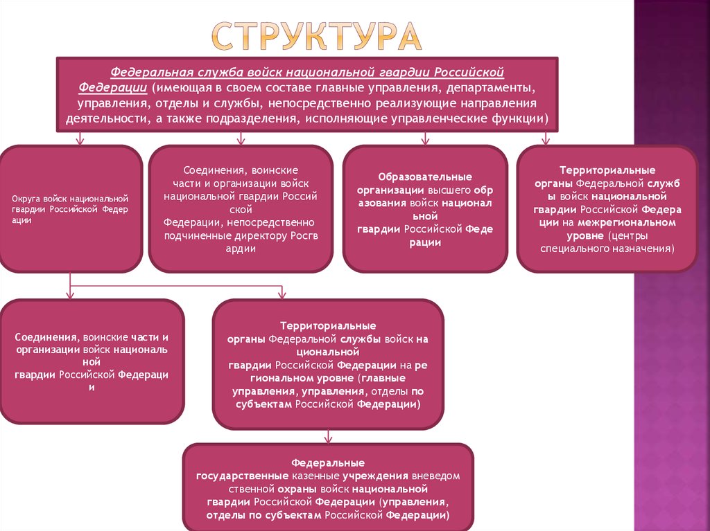 Структура национальной гвардии российской федерации