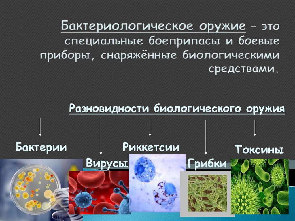 Биологические средства бактериологического оружия