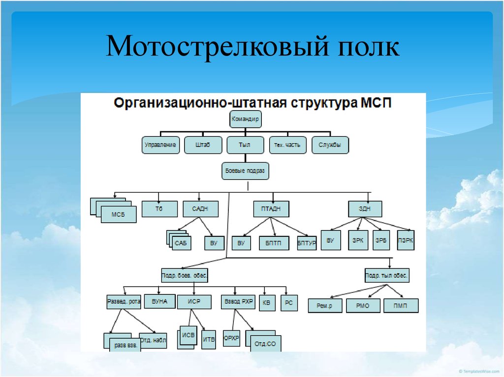 Из каких подразделений состоит танковая рота. Структура мотострелкового полка. Организационная штатная структура танкового полка. Организационная структура мотострелкового полка. ОШС мотострелкового полка вс РФ.