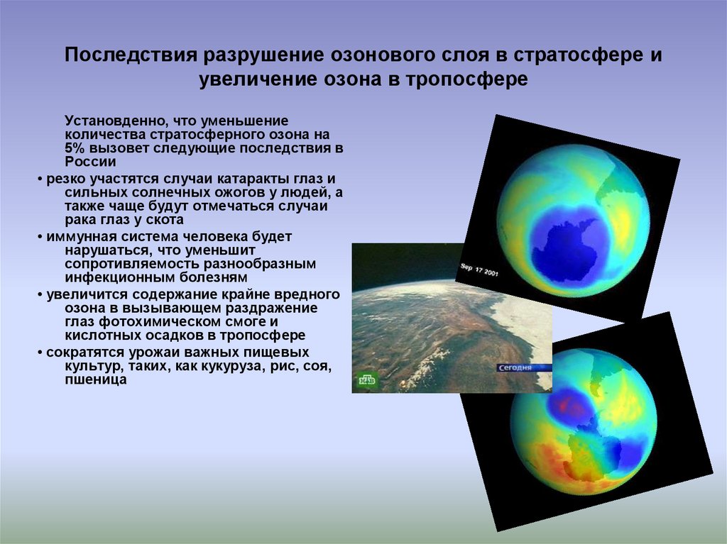 Проблема озонового слоя картинки