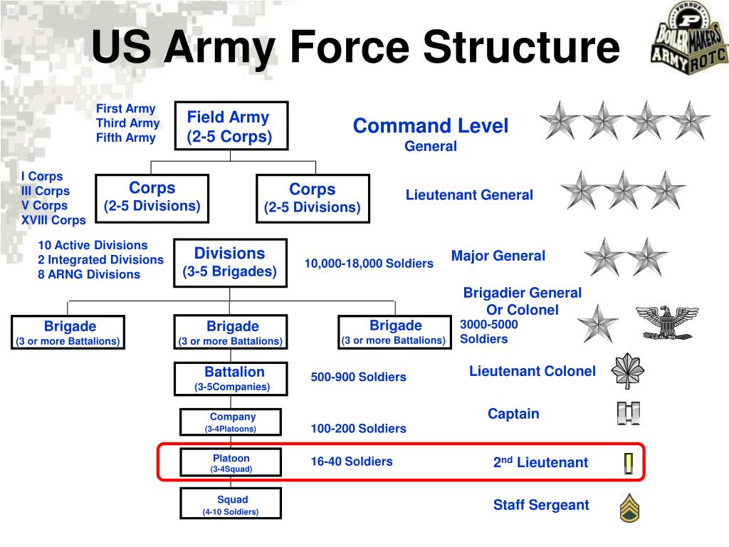 Сила структура. Us Army Force structure. Структура us Army. Система военного образования США. Иерархия в армии США.