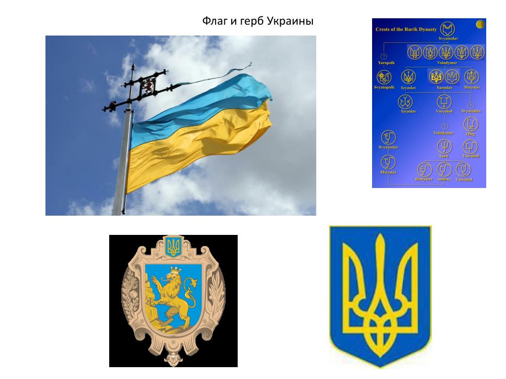 Флаг и герб украины