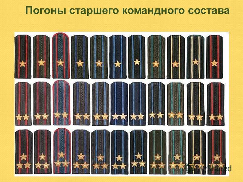 Звания в полиции россии по погонам. Звание полицейских по погонам. Воинские звания милиции.