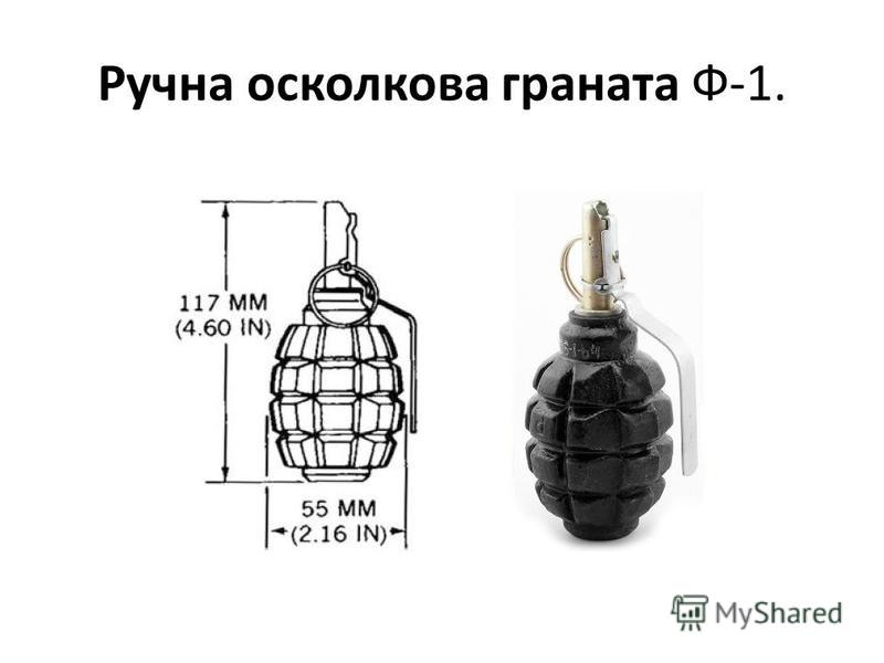 Ооо ф 1. Граната f-1 схема. Габариты гранаты ф1. Размеры гранаты ф1 чертеж. Ф1 граната чертеж.