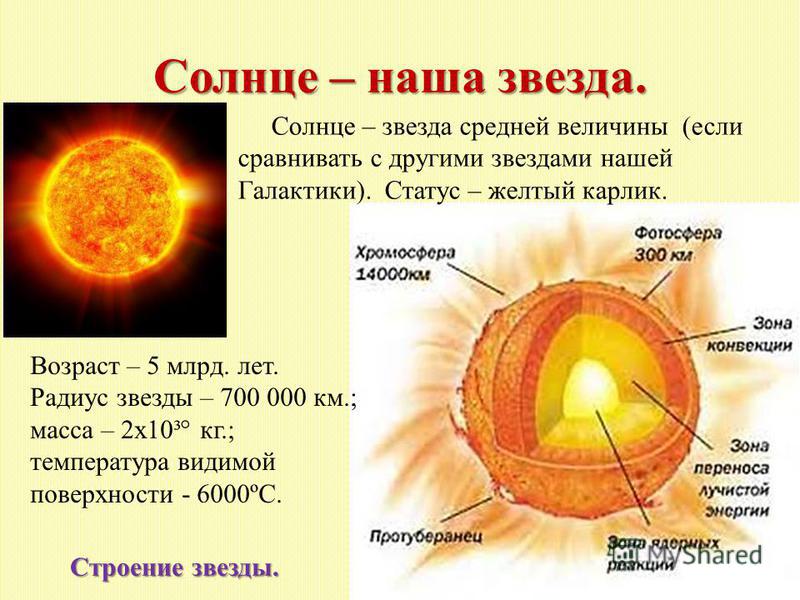 К какому классу звезд относится солнце