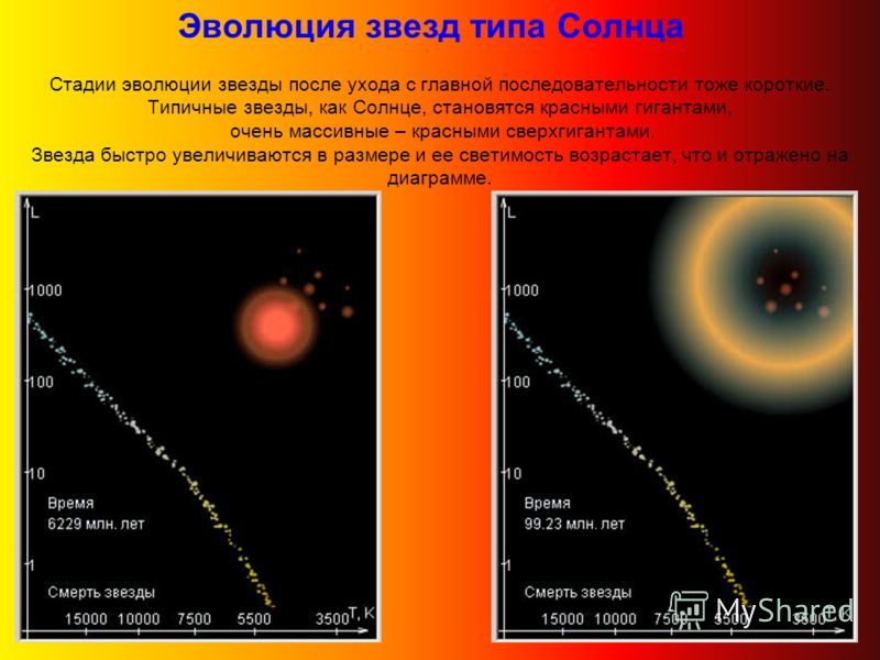Главная звезда. Эволюция звезды главной последовательности. Этапы эволюции звезд главной последовательности. Солнце звезда главной последовательности. Светимость звезд главной последовательности.