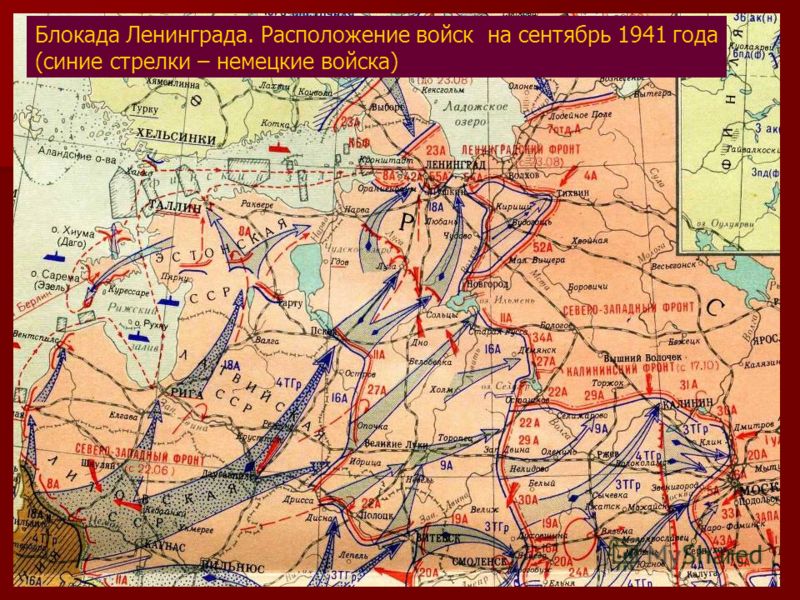 Карта фронта под ленинградом на карте