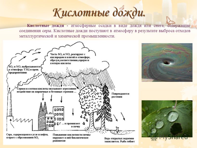 Образование кислотных дождей в атмосфере. Кислотные дожди. Кислотные осадки. Последствия образования кислотных осадков.