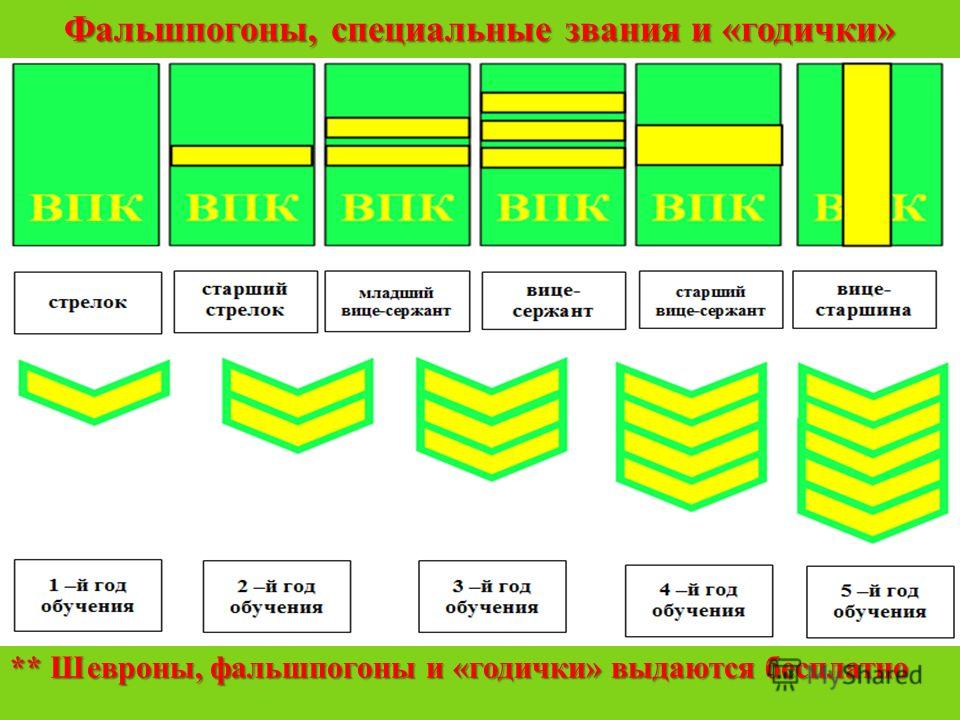 Как правильно пришивать годички на вкпо полевую схема