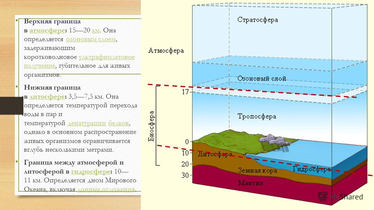 Верхняя граница. Иофера жива оолока зели. Границы биосферы таблица 11 класс. Биосфера Живая оболочка земли. Биосфражииваяоболочказемли.