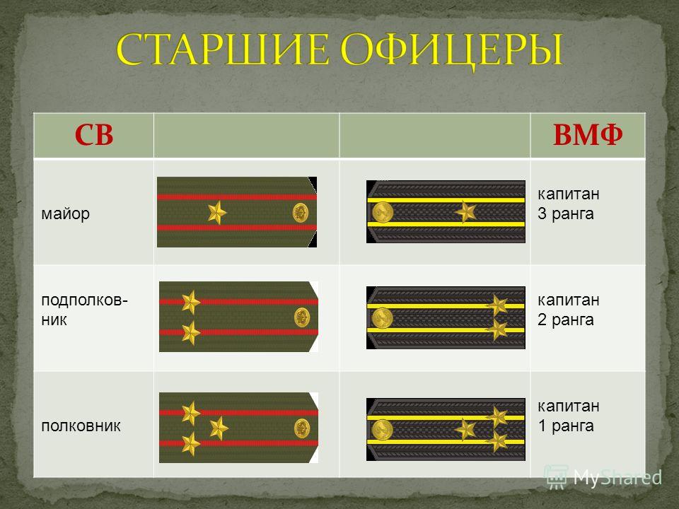 Звания партизан