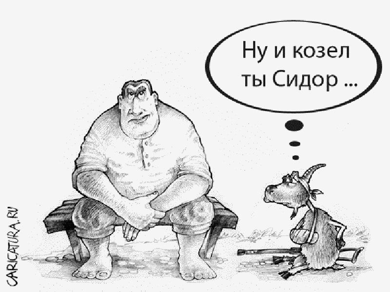 Со драть. Драть как Сидорову козу. Сидорова коза фразеологизм. Козел карикатура. Сидоровы козы фразеологизм.