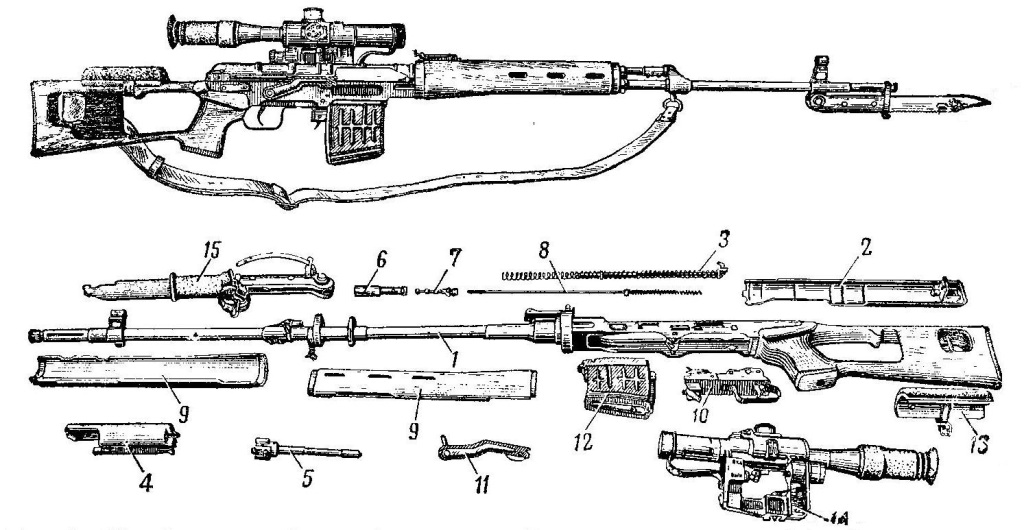 Свд диаметр. СВД винтовка чертеж. Снайперская винтовка Драгунова чертеж. Снайперская винтовка СВД чертеж. Снайперская винтовка СВД чертежи и Размеры.