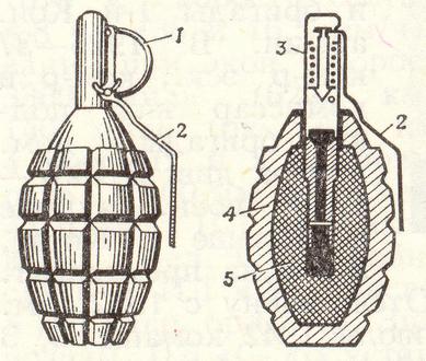 Простейшая граната. Граната РГД-5 чертеж. Ф1 граната чертеж. Составные части гранаты ф1. Чертёж гранаты ф1.