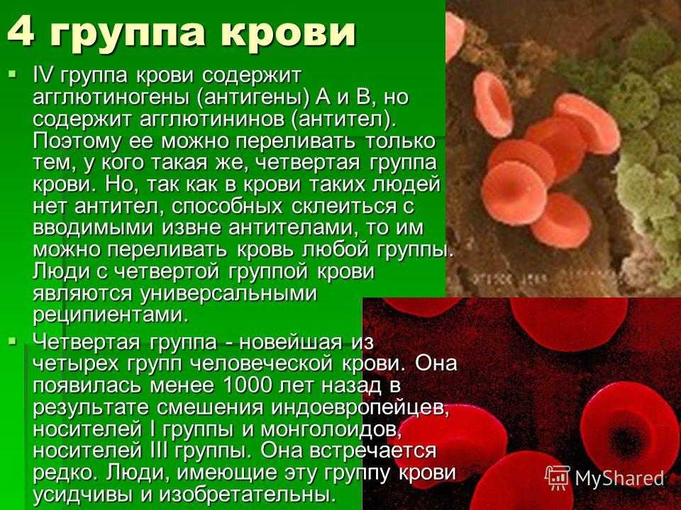 Группа крови легко