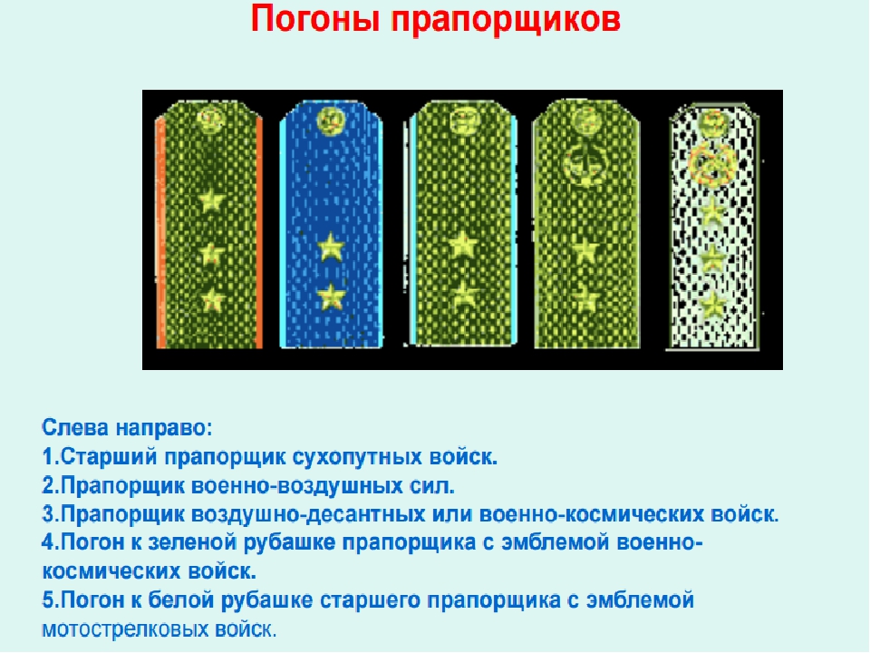 Прапорщик погоны полевые