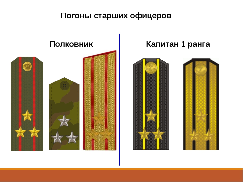 Погоны офицеров. Полковник Капитан 1 ранга погоны. Погоны старших офицеров Российской армии. Погоны полковника Российской армии. Капитан 1 ранга погоны звания.