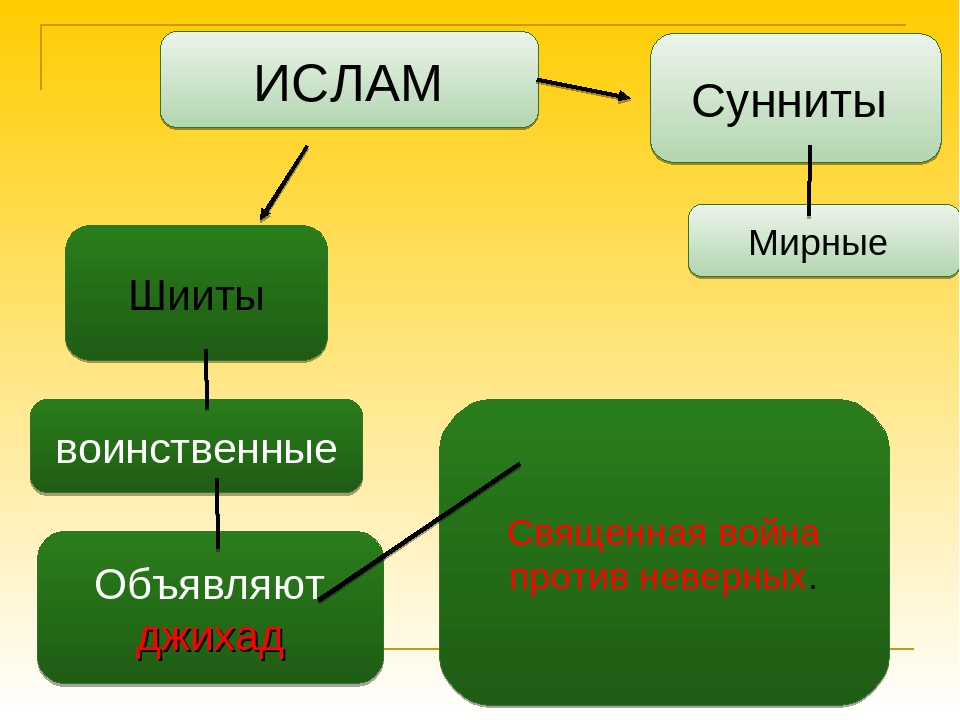 Отличие шиитов. Сунниты и шииты. Ветви Ислама. Ислам сунниты и шииты. Различие суннитов и шиитов.