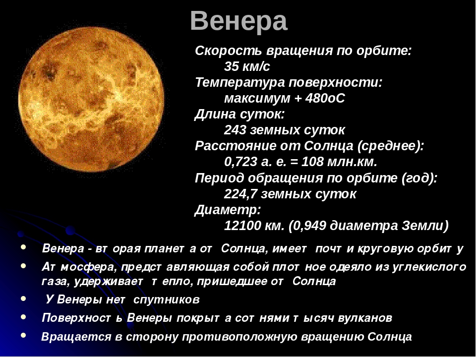 Venus текст