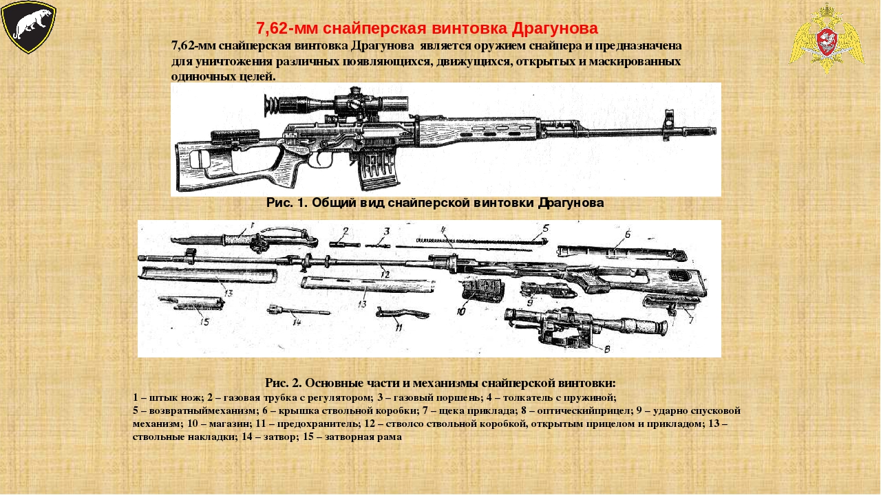 Части свд. ТТХ 7,62-мм снайперской винтовки Драгунова. Снайперская винтовка Драгунова ТТХ 7.62. 7.62 Снайперская винтовка Драгунова. 7,62 Мм винтовка СВД.