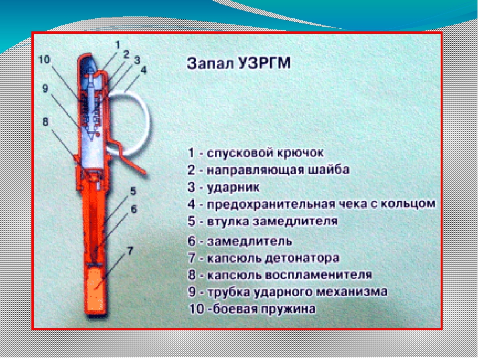 Запал гранаты. Запал УЗРГМ-2 устройство. Запал УЗРГМ-2 характеристики. Устройство УЗРГМ РГД-5 И Ф-1. Взрыватель УЗРГМ конструкция.