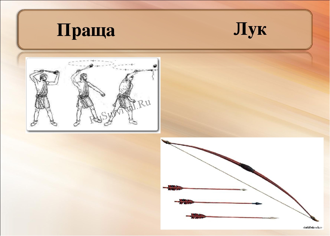 Праща история 5 класс. Праща оружие. Праща для метания камней. Лук праща. Что такое праща 5 класс.