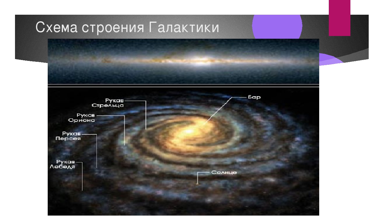 Расположение млечного. Галактика Млечный путь строение нашей Галактики. Строение Галактики Млечный путь рукава. Галактика Млечный путь 4 рукава. Карта Галактики Млечный путь.