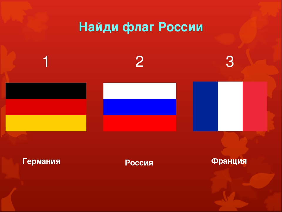 Каких стран похожие флаги. Похожие флаги. Найди флаг России. Флаги похожие на Германию. Флаги похожие на российский.