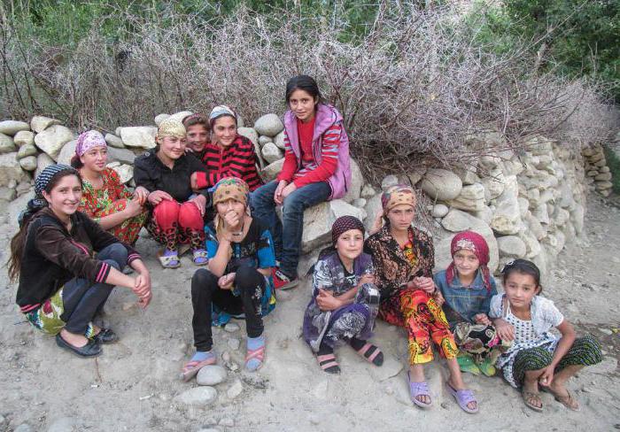 памирец что за нация