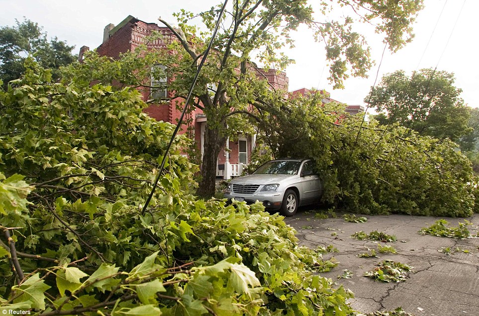 Violent: Downed trees cover a car and reach across the street the morning after the town was hit by a tornado in Elmira, New York July 27, 2012