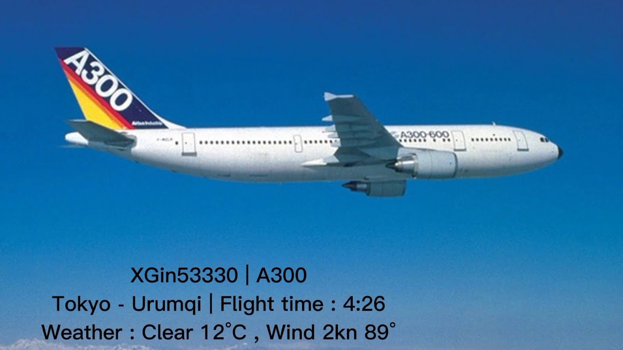 Airbus 300. Самолёт Airbus a300. Самолет Аэробус 300. Airbus a300 первый полет. С 300.