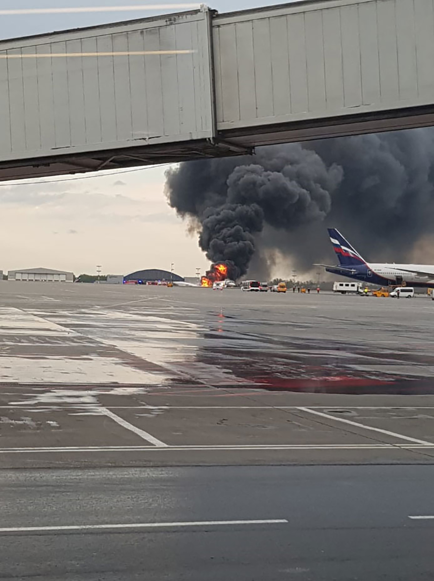 аэропорт шереметьево сейчас