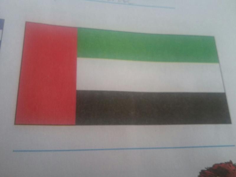 Правые левые зеленые. Флаг зеленая полоса сверху снизу белая полоса. Флаги с 3 полосами. Красно белая зеленая полоса. Флаг с зелеными полосками и красным.