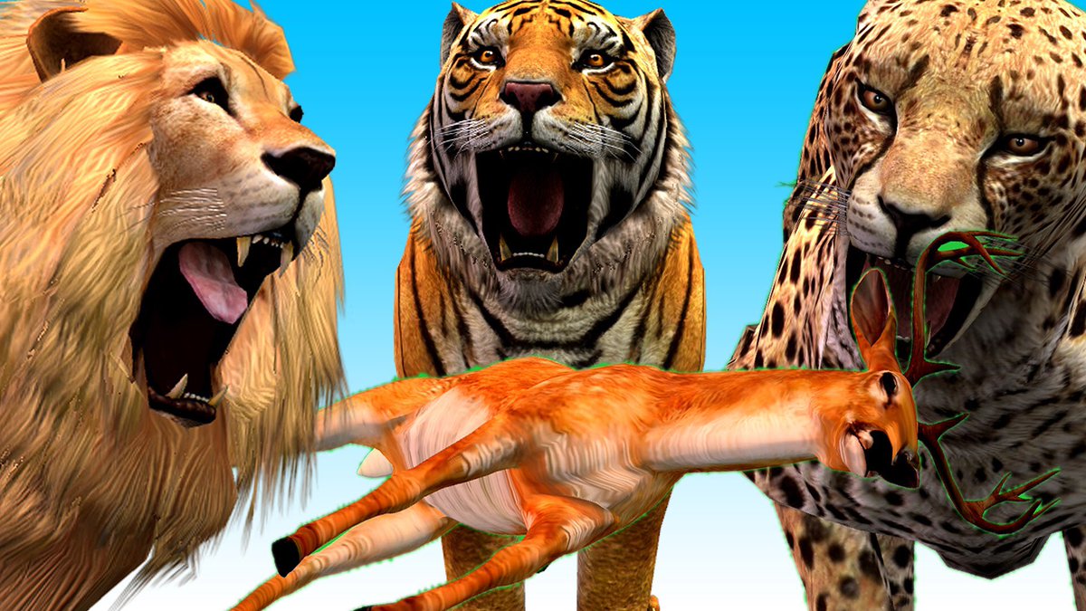 Кто победил лев или тигр. Лев против тигра. Тигры и леопарды. Тигр Лев и леопард.