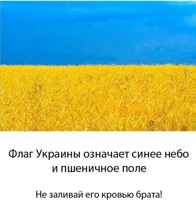 Как называется украинский. Что означают цвета флага Украины. Флаг Украины значение цветов. Обозначение цветов флага Украины. Что означает Флан Украины.