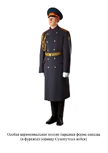Особая церемониальная зимняя парадная форма одежды, в фуражке - офицер Сухопутных войск