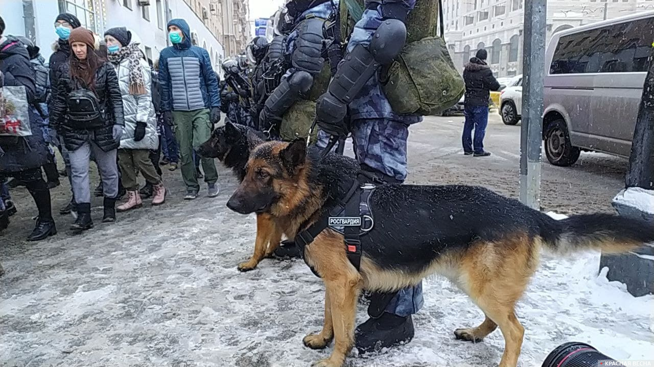 Полиция и росгвардия в чем разница. Полиция Росгвардия автоматы и собаки и др. ОМОН. Правоохранительные органы Москвы. Высокий Московский ОМОНОВЕЦ.