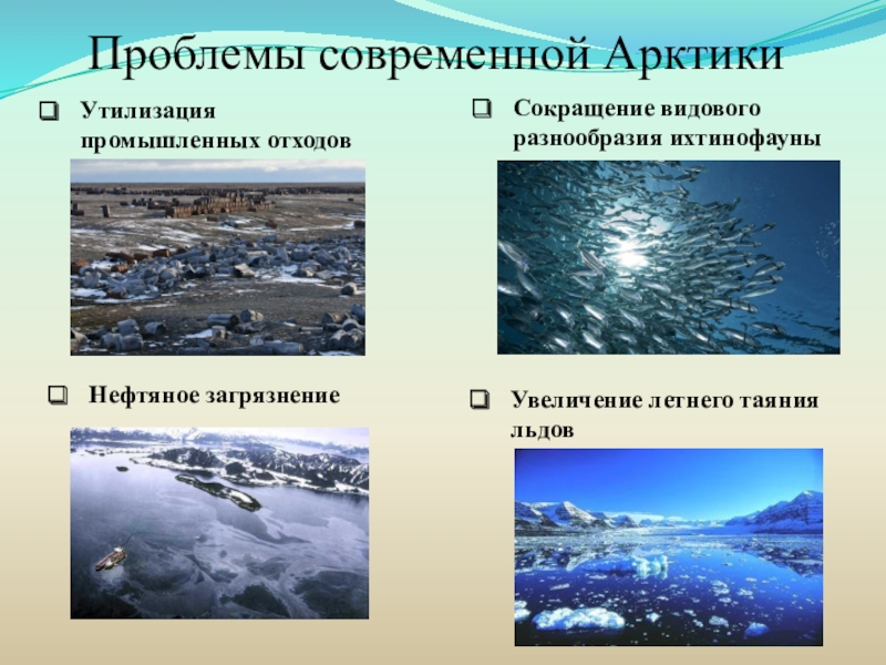 Знаки выражающие экологические проблемы в арктических пустынях. Экологические проблемы Арктики. Проблемы в арктических пустынях. Экологические проблемы Арктики презентация. Экологическая обстановка в арктических пустынях.