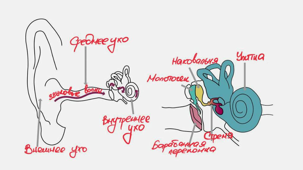 Звук в одном ухе наушников