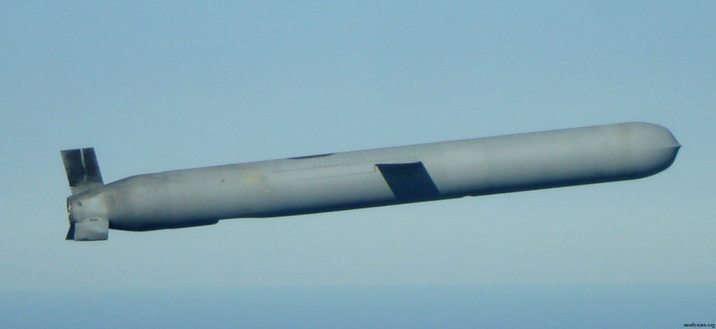 Х 69 крылатая ракета википедия. BGM-109 Tomahawk. Ракета BGM-109 «томагавк». Томагавк БГМ 109. Крылатая ракета BGM 109c.