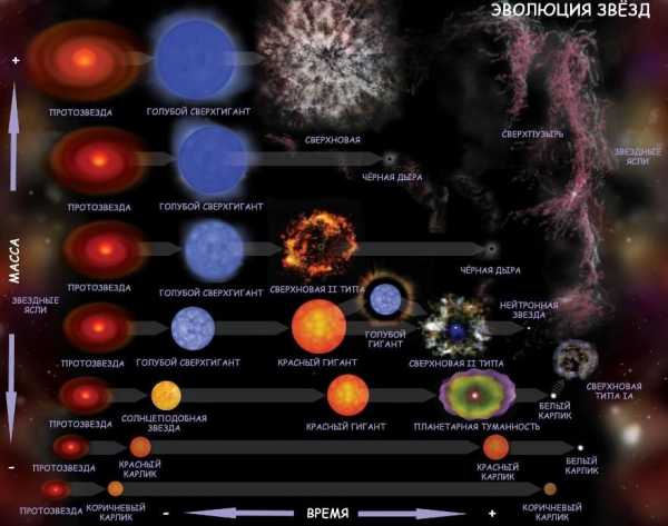 Составьте схему из элементов иллюстрирующую эволюцию звезд