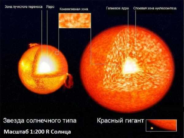 Звезды главной последовательности фото