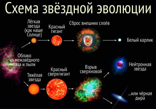 Рождение и эволюция звезд проект