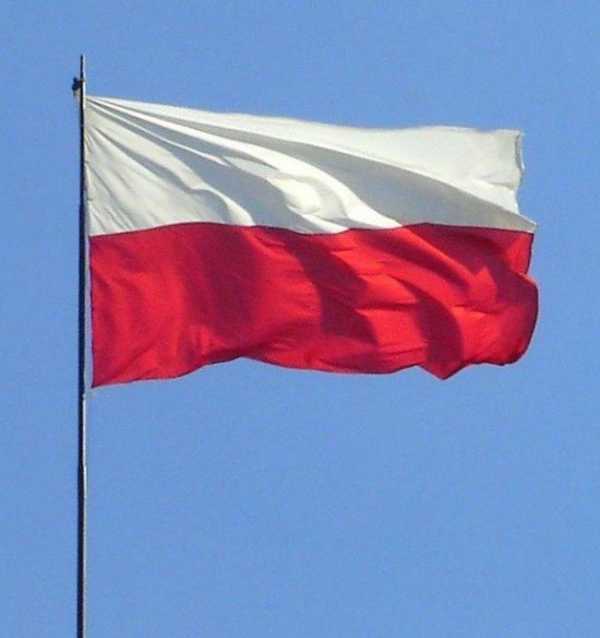 Флаг на белом фоне красная полоса