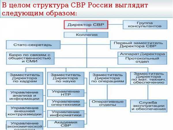 Осуществление руководства внешней политикой российской федерации это какой орган