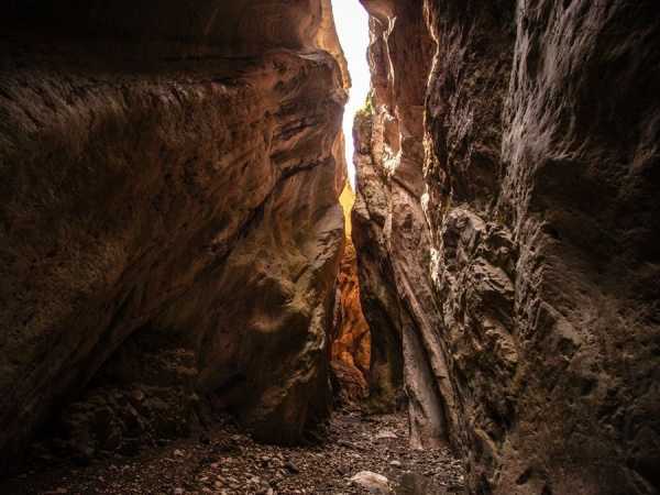 Сзади фото дагестанки