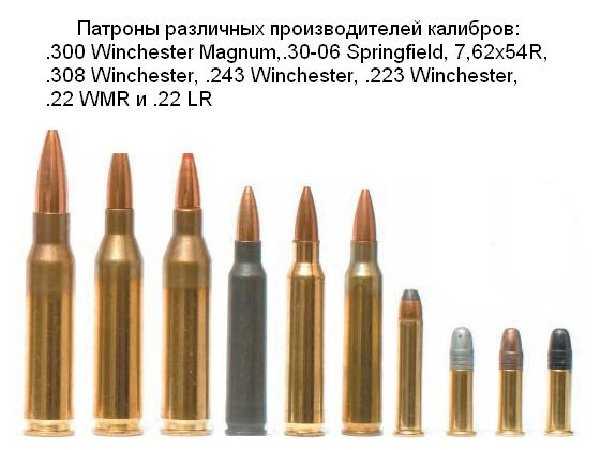 Калибры патронов для нарезного оружия таблица фото на русском